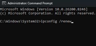 This is an image of 'command prompt', with '/renew' typed into it.