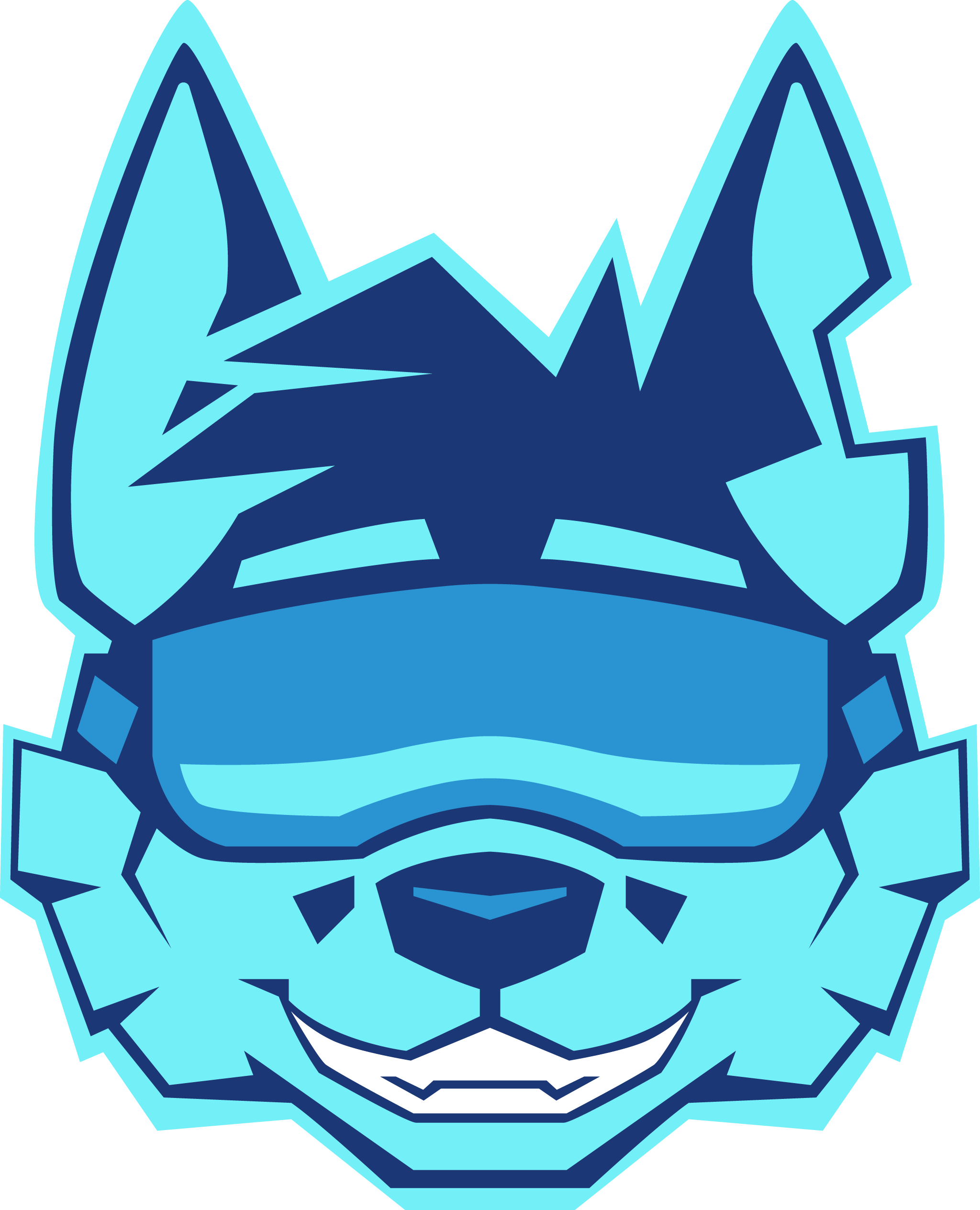 Custom icon
